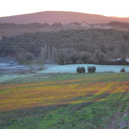 Podere Ficareto Farm Ancaiano Eksteriør billede