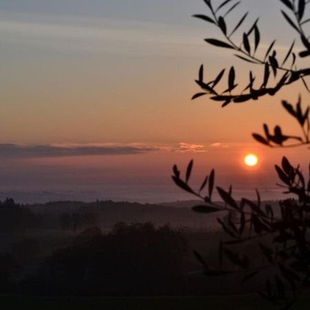 Podere Ficareto Farm Ancaiano Eksteriør billede