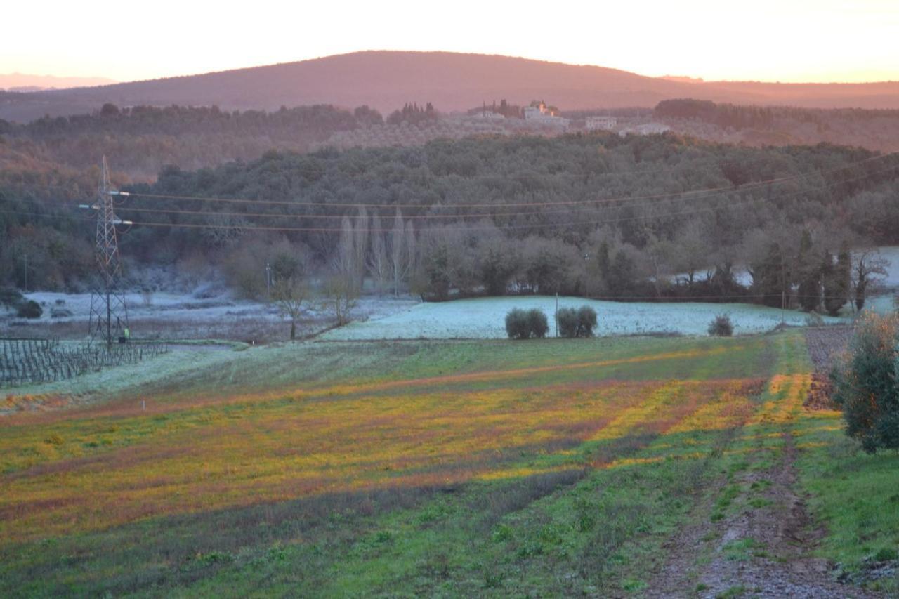 Podere Ficareto Farm Ancaiano Eksteriør billede