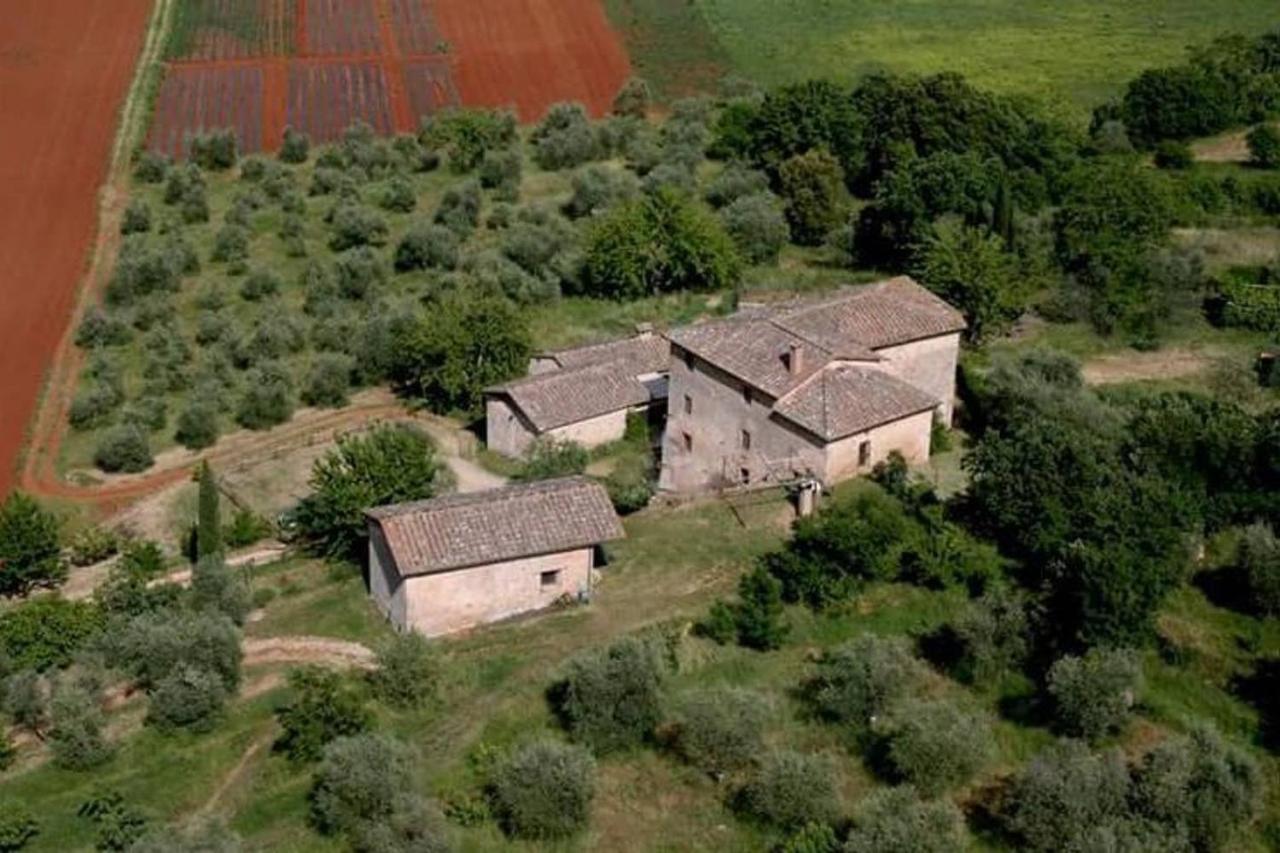 Podere Ficareto Farm Ancaiano Eksteriør billede